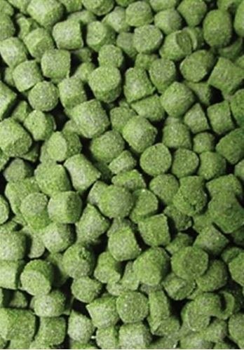 Ocean Nutrition Formula Two Pellets M 100g (pokarm granulowany) Ocean Nutrition Formula Two Pellets M 100g (pokarm granulowany)