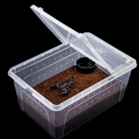 Terrario Terrarium Faunarium 18x12x7cm