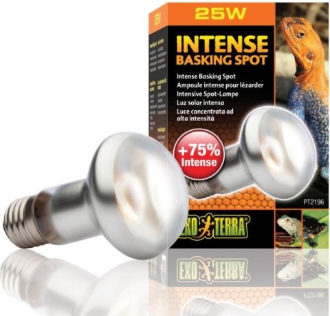 EXO TERRA Intense Basking Spot 25W (żarówka grzewcza) EXO TERRA Intense Basking Spot 25W (żarówka grzewcza)