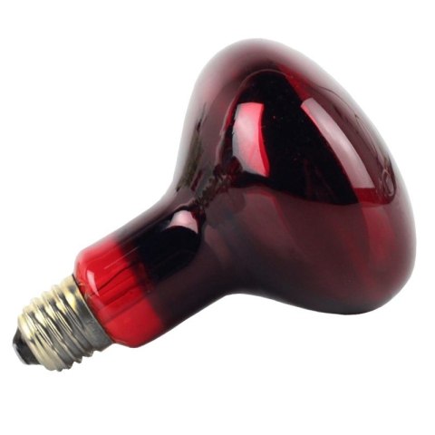 Komodo Infrared 75W - żarówka grzewcza podczerwona Komodo Infrared 75W - żarówka grzewcza podczerwona