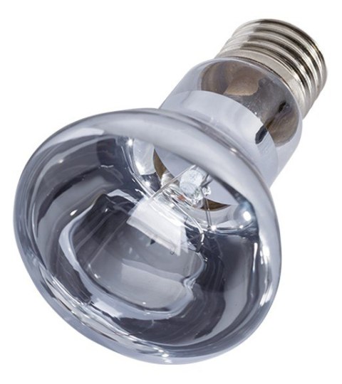 Repti-Zoo Neodymium Daylight 50W - żarówka grzewcza neodymowa Repti-Zoo Neodymium Daylight 50W - żarówka grzewcza neodymowa