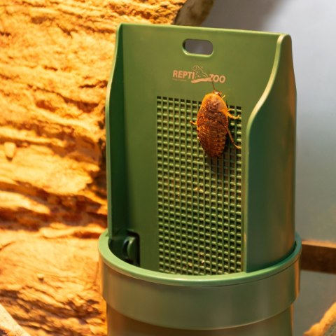 Repti-Zoo Arboreal Feeding Dish - wiszący karmnik dla gadów Repti-Zoo Arboreal Feeding Dish - wiszący karmnik dla gadów