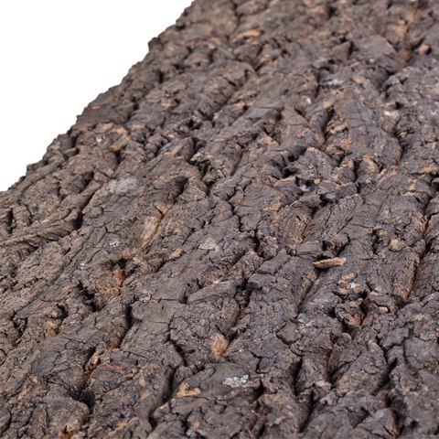 Repti-Zoo Big Tree Background - tło z kory do terrarium 20x20cm Repti-Zoo Big Tree Background - tło z kory do terrarium 20x20cm
