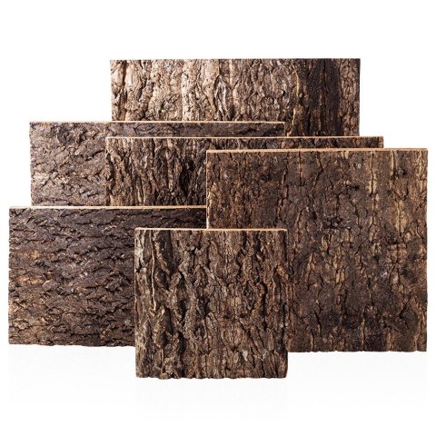 Repti-Zoo Big Tree Background - tło z kory do terrarium 20x20cm Repti-Zoo Big Tree Background - tło z kory do terrarium 20x20cm