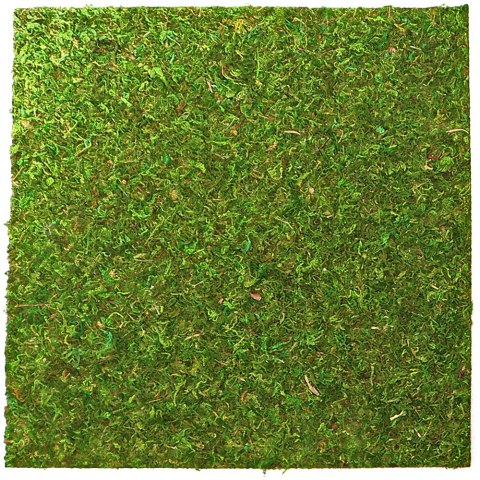 Repti-Zoo Natural Moss Back&Bottom - tło i podłoże z mchu 20x20cm Repti-Zoo Natural Moss Back&Bottom - tło i podłoże z mchu 20x20cm