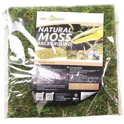 Repti-Zoo Natural Moss Back&Bottom - tło i podłoże z mchu 20x20cm Repti-Zoo Natural Moss Back&Bottom - tło i podłoże z mchu 20x20cm