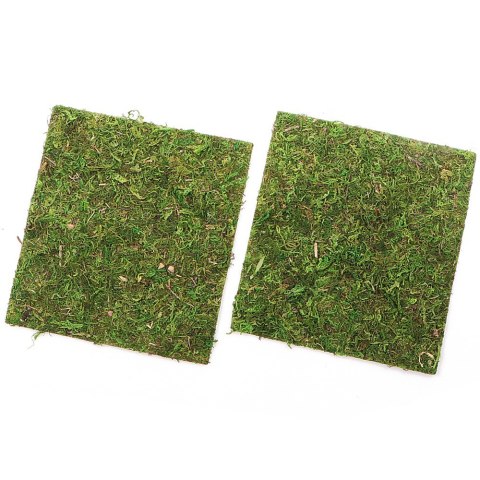 Repti-Zoo Natural Moss Back&Bottom - tło i podłoże z mchu 20x20cm Repti-Zoo Natural Moss Back&Bottom - tło i podłoże z mchu 20x20cm