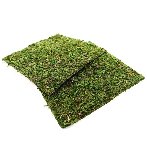 Repti-Zoo Natural Moss Back&Bottom - tło i podłoże z mchu 20x20cm Repti-Zoo Natural Moss Back&Bottom - tło i podłoże z mchu 20x20cm
