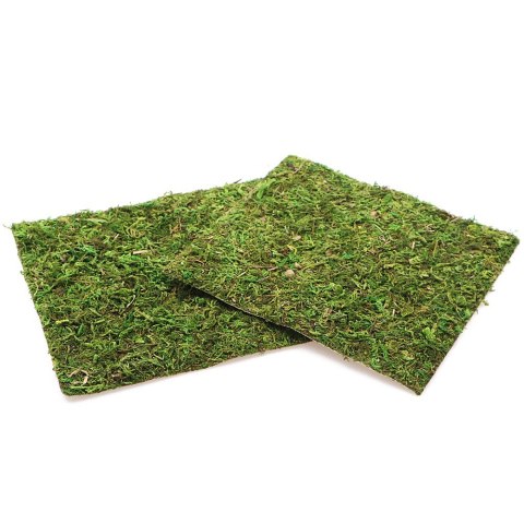 Repti-Zoo Natural Moss Back&Bottom - tło i podłoże z mchu 20x20cm Repti-Zoo Natural Moss Back&Bottom - tło i podłoże z mchu 20x20cm