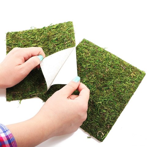 Repti-Zoo Natural Moss Back&Bottom - tło i podłoże z mchu 20x20cm Repti-Zoo Natural Moss Back&Bottom - tło i podłoże z mchu 20x20cm