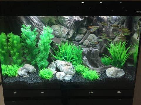 Tło strukturalne 3d do akwarium na wymiar Tło strukturalne 3d do akwarium na wymiar