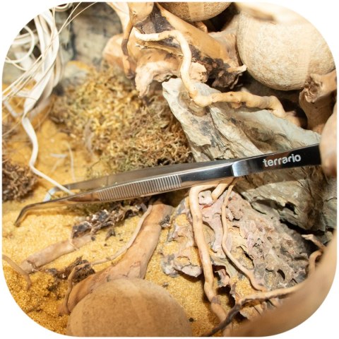 Terrario ViperTweez Bent S - pęseta zagięta 20cm