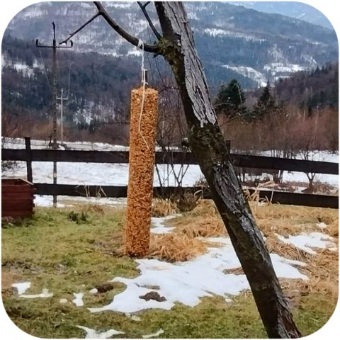 Gami Kolba XXL z robakami 400g - pokarm dla ptaków dzikich Gami Kolba XXL z robakami 400g - pokarm dla ptaków dzikich