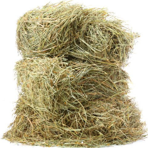 Terrario Alpine Aroma 1000g - sianko dla królików 30l Terrario Alpine Aroma 1000g - sianko dla królików 30l