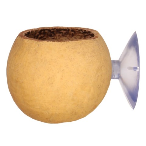Terrario Hang Bowl Natural - łupina miska wisząca z przyssawką Terrario Hang Bowl Natural - łupina miska wisząca z przyssawką