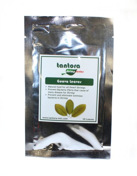 Tantora Guava Leaves Liście Guawy 10Szt. Tantora Guava Leaves Liście Guawy 10Szt.