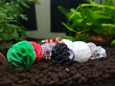 Baby Shrimp Shelters Zielony 20 szt Baby Shrimp Shelters Zielony 20 szt