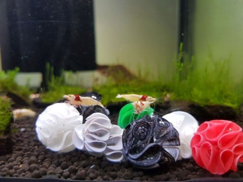 Baby Shrimp Shelters Zielony 20 szt Baby Shrimp Shelters Zielony 20 szt