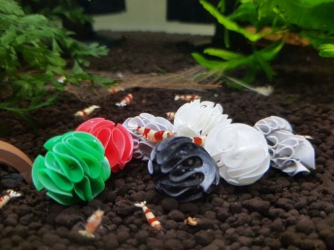 Baby Shrimp Shelters Zielony 20 szt Baby Shrimp Shelters Zielony 20 szt