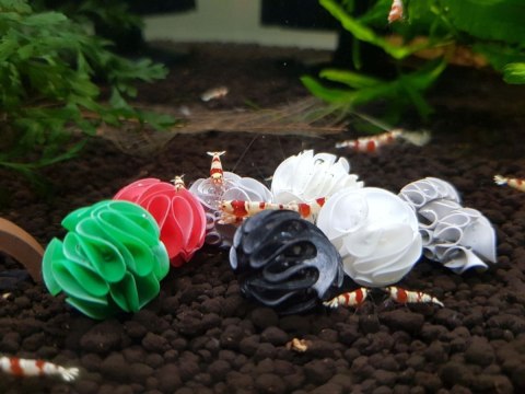 Baby Shrimp Shelters Zielony 20 szt Baby Shrimp Shelters Zielony 20 szt