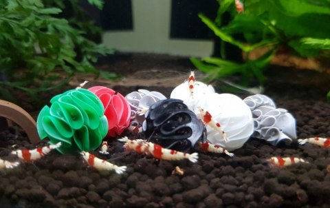 Baby Shrimp Shelters Zielony 20 szt Baby Shrimp Shelters Zielony 20 szt