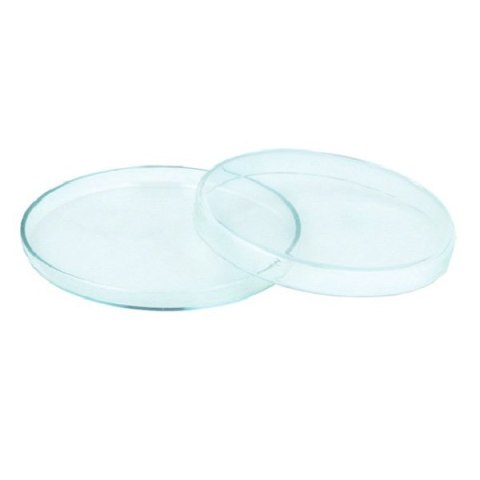Deep Aqua Szklany Karmnik Karmidło Krewetki 42/12mm Deep Aqua Szklany Karmnik Karmidło Krewetki 42/12mm