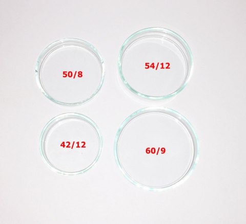 Deep Aqua Szklany Karmnik Karmidło Krewetki 42/12mm Deep Aqua Szklany Karmnik Karmidło Krewetki 42/12mm
