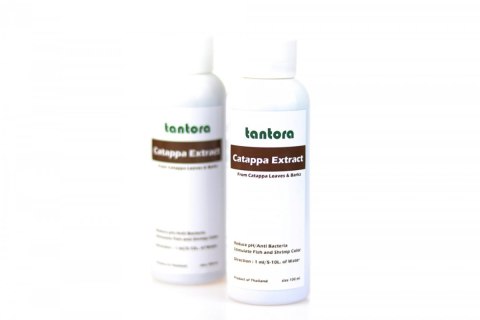 Tantora Cattapa Extract 100ml wyciąg z ketapangu Tantora Cattapa Extract 100ml wyciąg z ketapangu
