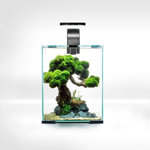 Aquael Shrimp Set 10L Czarny Day/Night 20x20x25cm Aquael Shrimp Set 10L Czarny Day/Night 20x20x25cm