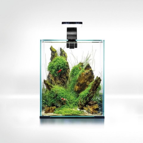 Aquael Shrimp Set 10L Czarny Day/Night 20x20x25cm Aquael Shrimp Set 10L Czarny Day/Night 20x20x25cm