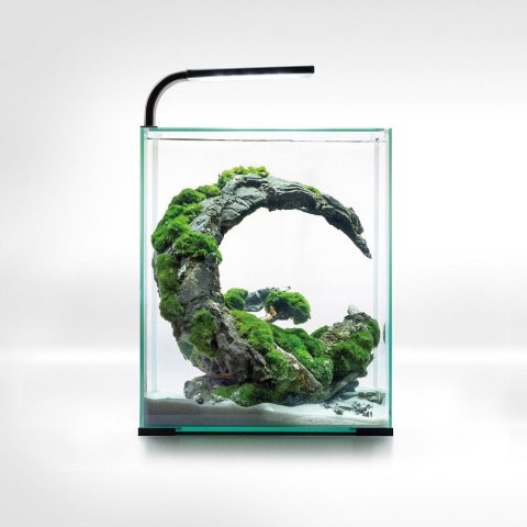 Aquael Shrimp Set 10L Czarny Day/Night 20x20x25cm Aquael Shrimp Set 10L Czarny Day/Night 20x20x25cm