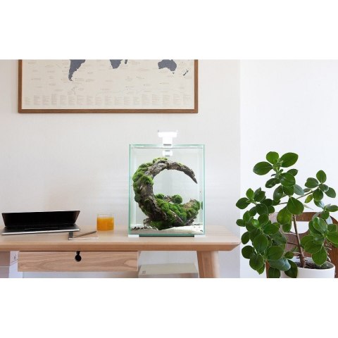 Aquael Shrimp Set 10L Czarny Day/Night 20x20x25cm Aquael Shrimp Set 10L Czarny Day/Night 20x20x25cm