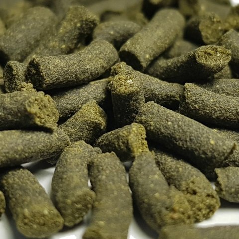 Qualdrop ALGAE 320g pokarm uzupełniający Qualdrop ALGAE 320g pokarm uzupełniający