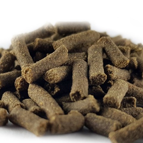 Qualdrop Breed 10g pokarm stymulujący rozmnażanie Qualdrop Breed 10g pokarm stymulujący rozmnażanie