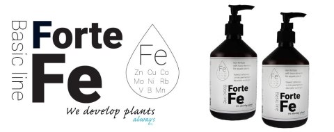 Qualdrop Fe Forte 500ml Schelatowane Żelazo Mikroelementy Qualdrop Fe Forte 500ml Schelatowane Żelazo Mikroelementy