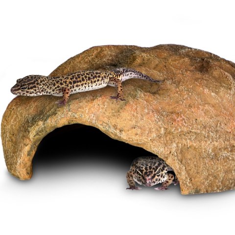 Terrario Gecko Cave L - ozdoba do terrarium 27x22x9 cm
