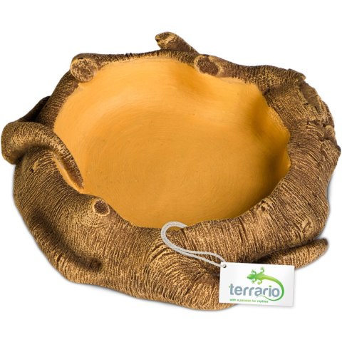 Terrario Rustic Wood Bowl - Miska do Terrarium 12x12x3,5 cm