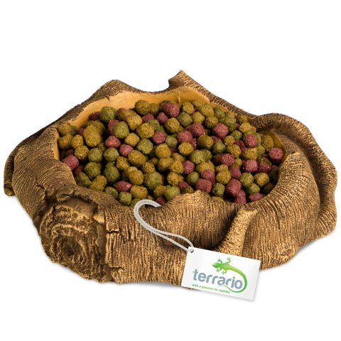 Terrario Rustic Wood Bowl - Miska do Terrarium 12x12x3,5 cm