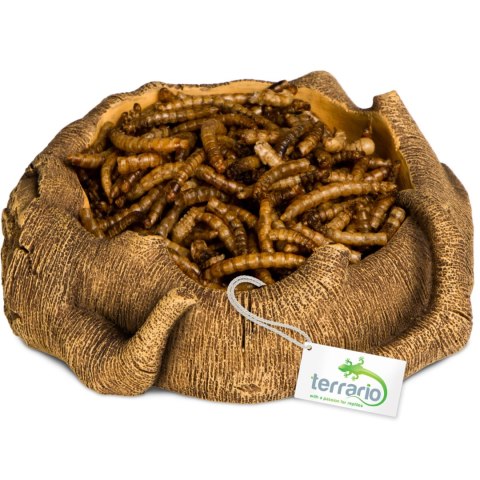 Terrario Rustic Wood Bowl - Miska do Terrarium 12x12x3,5 cm