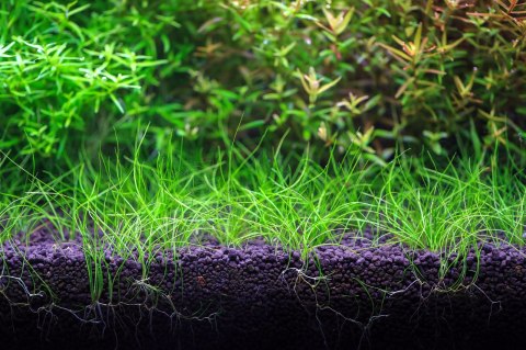 NEO Soil Shrimp 3l - podłoże do krewetkariów