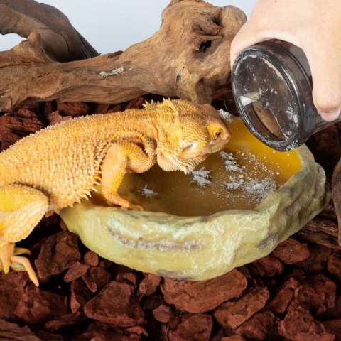 Repti-Zoo Vita-Calcium Shaker - kubek do obsypywania owadów karmowych