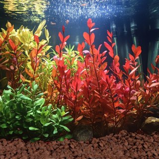 Kruger Meier Crimson Ember Lava 10-20 mm - Lawowe podłoże strukturalne 2 kg