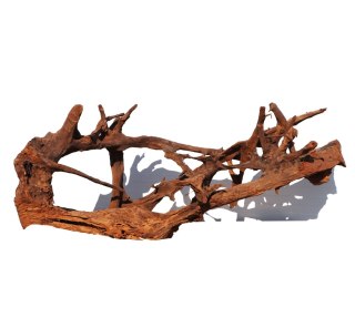 Malaysian Driftwood Giant XXXL - korzeń 150cm no.M34