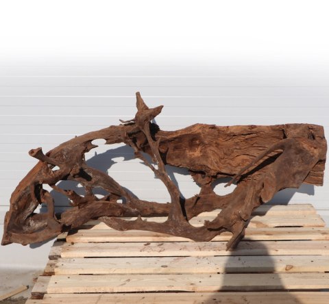 Malaysian Driftwood Giant XXXL - korzeń 150cm no.M34 Malaysian Driftwood Giant XXXL - korzeń 150cm no.M34