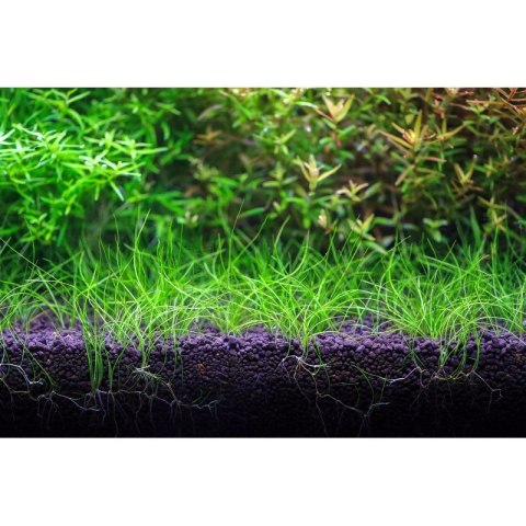 Neo Soil Plant Normal 3l - podłoże do akwarium roślinnego