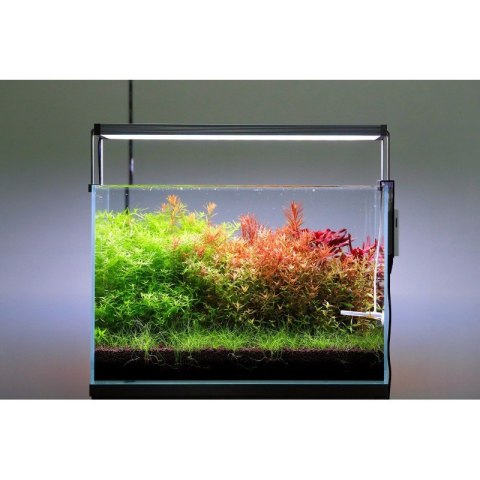 Neo Soil Plant Normal 3l - podłoże do akwarium roślinnego