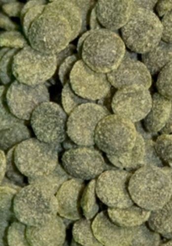 Ocean Nutrition Shrimp Wafers 15g (pokarm dla krewetek) Ocean Nutrition Shrimp Wafers 15g (pokarm dla krewetek)